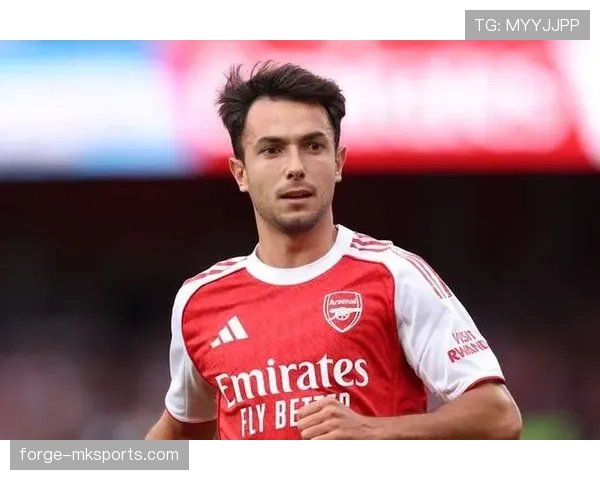 西甲祖比门迪中场 西甲祖比门迪中场