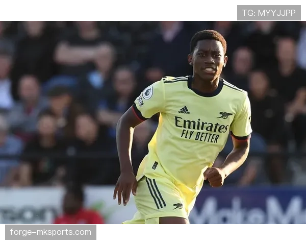 纽卡欧战经验不足问题显现，对赛季走势形成制约